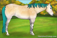 Horse Color:Painted Buckskin Ice Onyx 