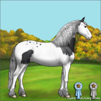 Horse Color:Black Splash Tobiano 