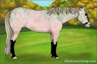 Horse Color:Watercolor Red Dun Ice Splash