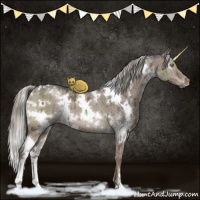 Horse Color:White Spotted Liver Red Dun Ice Mushroom Brindle 