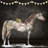 Horse Color:White Spotted Liver Red Dun Sabino Rabicano 