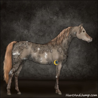 Horse Color:White Spotted Liver Red Dun Ice Brindle 