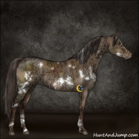 Horse Color:White Spotted Liver Red Dun Ice 