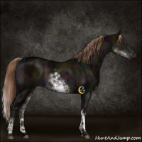 Horse Color:White Spotted Midnight Liver Red Dun Ice Brindle