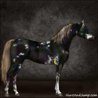Horse Color:White Spotted Midnight Liver Chestnut Ice Tobiano