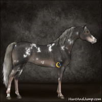Horse Color:White Spotted Liver Chestnut Mushroom 