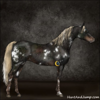 Horse Color:White Spotted Liver Chestnut Ice 