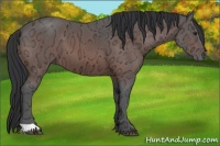 Horse Color:Brown Ice 