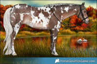 Horse Color:White Spotted Liver Chestnut Mushroom 
