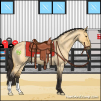 Horse Color:Buckskin Roan Dun 