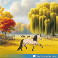 Horse Color:Bay Dun 