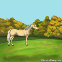 Horse Color:Palomino 