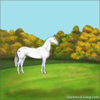 Horse Color:Gray Brown Dun Tobiano Near Leopard 