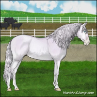 Horse Color:Watercolor Silver Buckskin Pearl Onyx Rabicano 