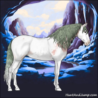 Horse Color:Watercolor Buckskin Onyx Splash Snowcap Rabicano 