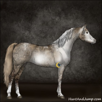 Horse Color:Gray Liver Red Dun Ice Tobiano 