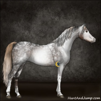 Horse Color:Gray Liver Chestnut Ice Tobiano 