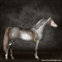 Horse Color:Gray White Spotted Liver Chestnut Ice Tobiano 