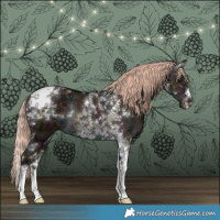 Horse Color:White Spotted Midnight Chocolate Palomino Ice Dun Tobiano Rabicano Brindle