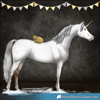 Horse Color:Gray White Spotted Liver Red Dun Brindle 