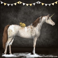 Horse Color:White Spotted Liver Red Dun Ice Pearl Brindle 