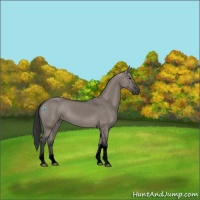 Horse Color:Void Grullo Sabino Tobiano Rabicano 