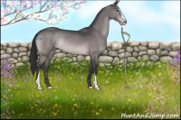 Horse Color:Platinum Bay Dun Sabino Rabicano 