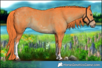 Horse Color:Watercolor White Spotted Liver Chestnut Tobiano 