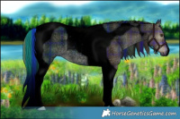 Horse Color:Void Plaid  Liver Red Dun Roan Tobiano 