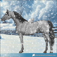 Horse Color:Blue Ice Roan 