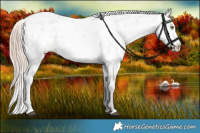 Horse Color:Liver Chestnut Pearl Sabino Rabicano 