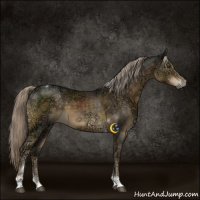 Horse Color:Chocolate Palomino Ice Tobiano 