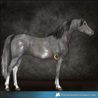 Horse Color:White Spotted Midnight Liver Chestnut Sabino Rabicano 