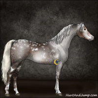 Horse Color:Gray White Spotted Liver Chestnut Ice Mushroom Tobiano 