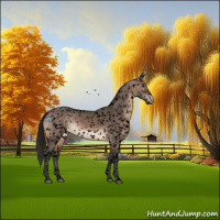 Horse Color:Void Brown Dun Sabino Snowflake Varnish Rabicano 