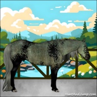 Horse Color:Void Plaid  White Spotted Chocolate Palomino Roan Dun 