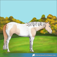 Horse Color:Amber Champagne Pearl Tobiano