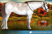 Horse Color:White Spotted Liver Red Dun Splash 