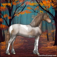 Horse Color:Liver Red Roan Tobiano 