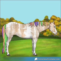 Horse Color:Painted Silver Buckskin Ice Dun Splash Tobiano 