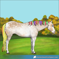 Horse Color:Painted Silver Buckskin Ice Dun Splash Tobiano 