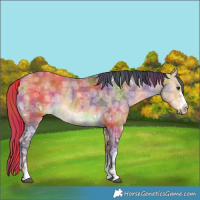 Horse Color:Nacre Buckskin Ice Dun 