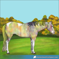 Horse Color:Nacre Brown Ice Dun Splash Tobiano 