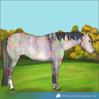 Horse Color:Nacre Bay Ice Dun Tobiano 