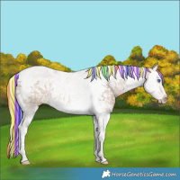 Horse Color:Painted Silver Bay Ice Dun Splash Tobiano 