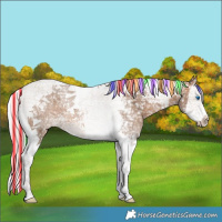 Horse Color:Painted Silver Brown Ice Dun Splash Tobiano 