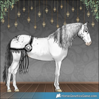 Horse Color:White Spotted Black 