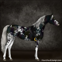 Horse Color:White Spotted Midnight Liver Chestnut Ice Mushroom