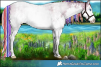 Horse Color:Painted White Spotted Chocolate Palomino Dun Sabino Splash