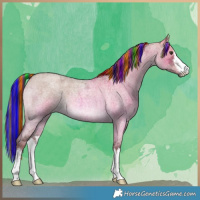 Horse Color:Painted White Spotted Liver Red Dun Ice Roan